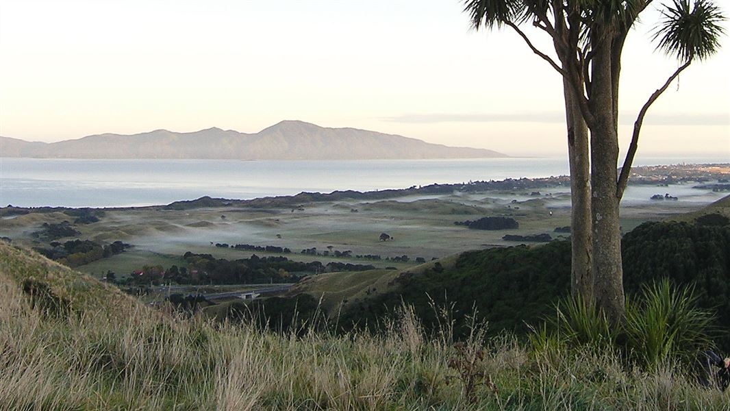 Ocean and mountains from Whareroa Farm.  