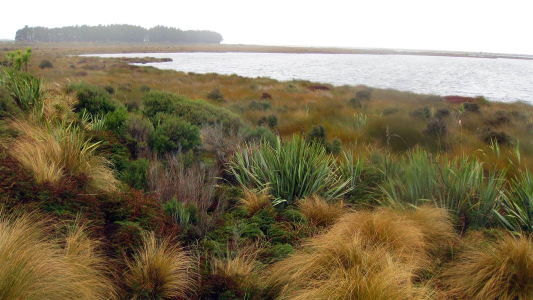 Waituna Lagoon. 