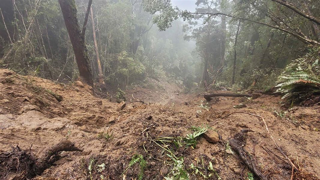 Very large slip in the bush on the Paparoa Track.