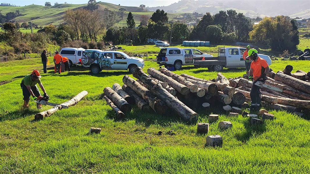 DOC staff cutting up firewood. 