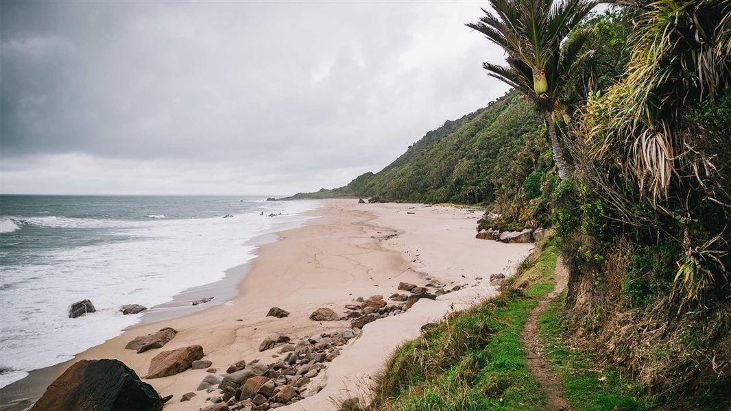 West Coast beach section on Heaphy Track before Heaphy Hut