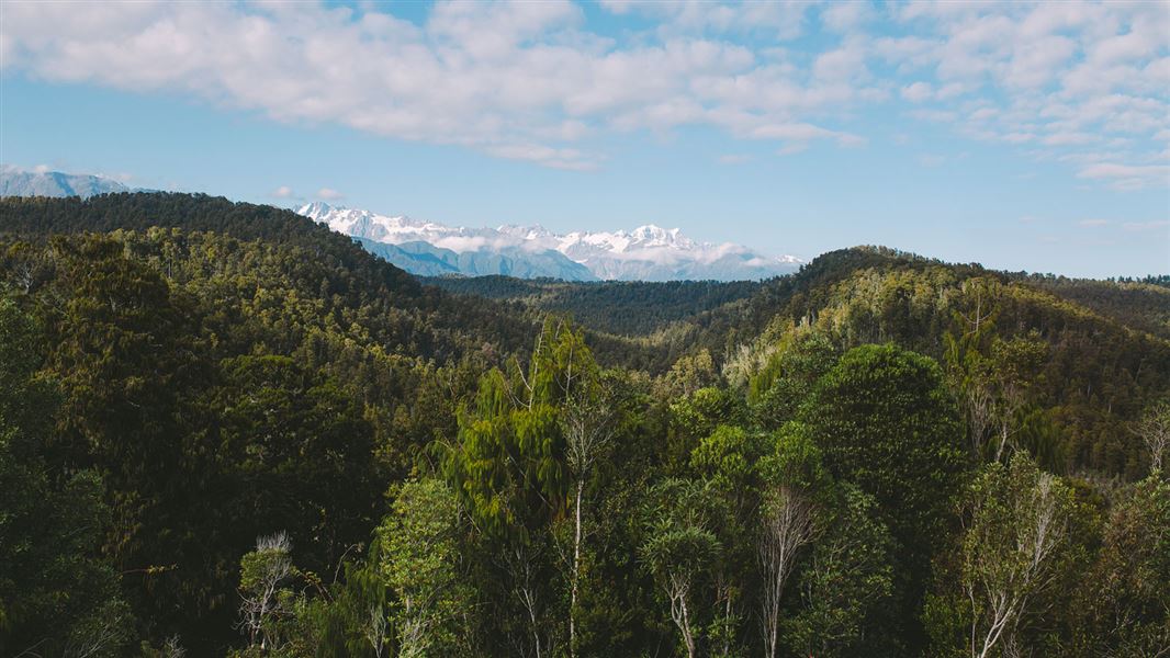 View of mountains over trees.