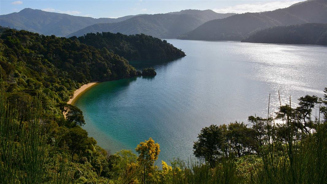 Queen Charlotte Sound. 