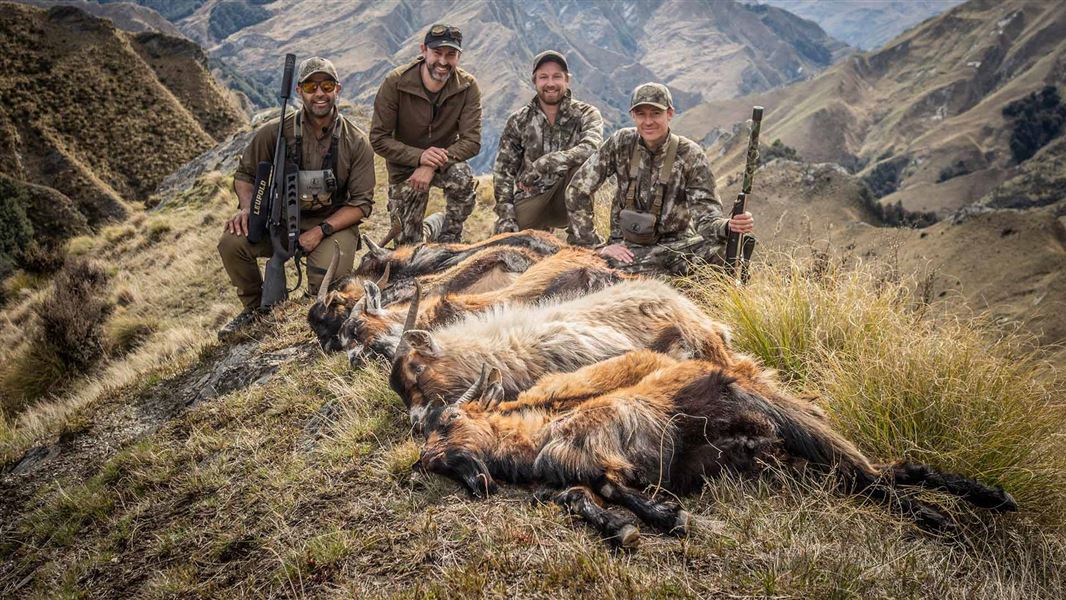 Red Stag Timber Hunters Club with competition entries. 