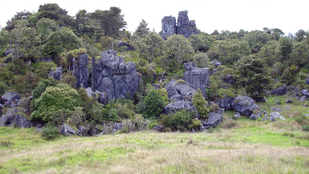 Limestone formations. 