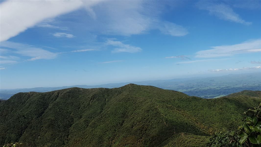 Maharahara Peak Track.