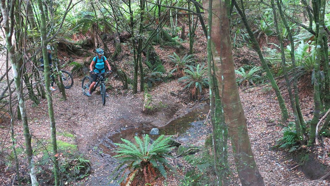 Riders crossing one of the streams on the Tree Trunk Gorge track. 