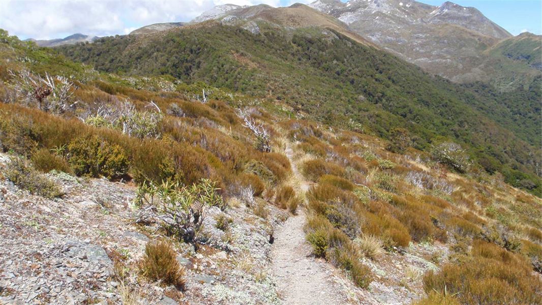 View of Mt Arthur from the Mt Arthur Hut - Flora Hut Track. 