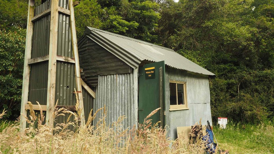 Corrugated iron hut in bush clearing. 