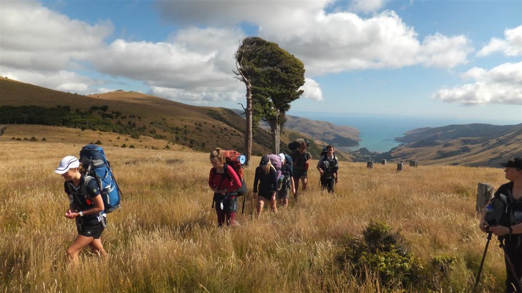 Rod Donald hut to Hilltop Hotel.