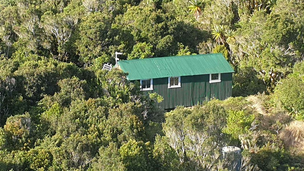 A small wooden hut nestled among trees.