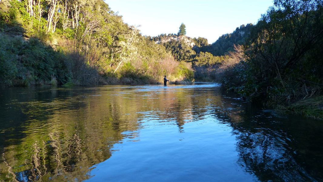 Fisher in Hinemaiaia river. 