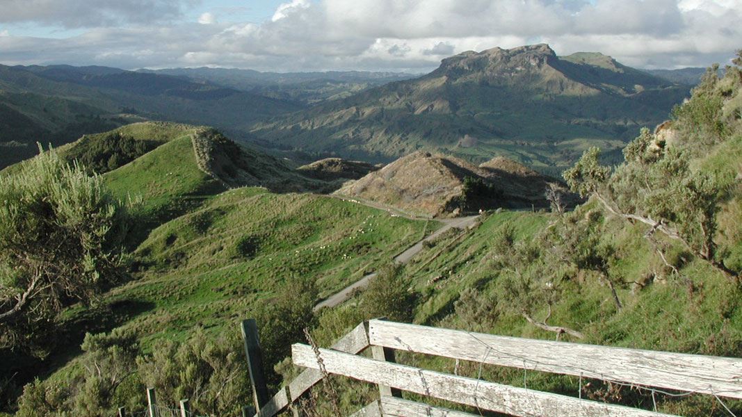 View from the route to Mangaone Caves.