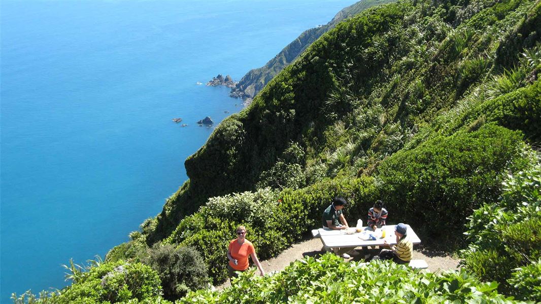 Kapiti Island family picnic