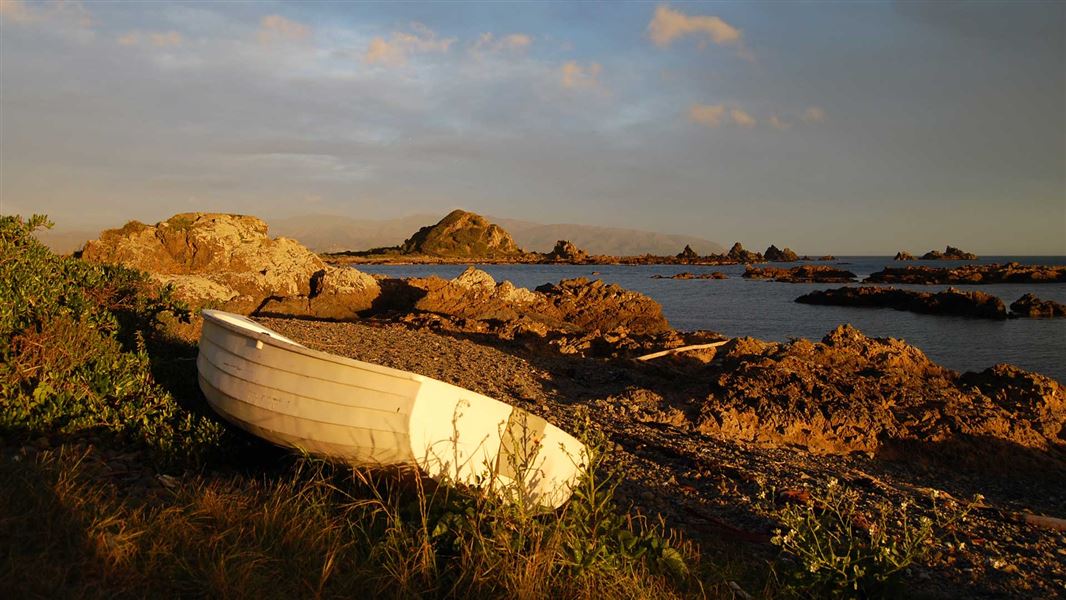 Taputeranga Marine Reserve. 