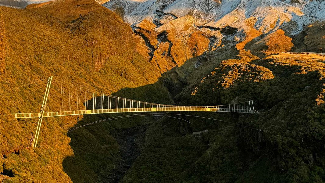 Manganui Gorge suspension bridge