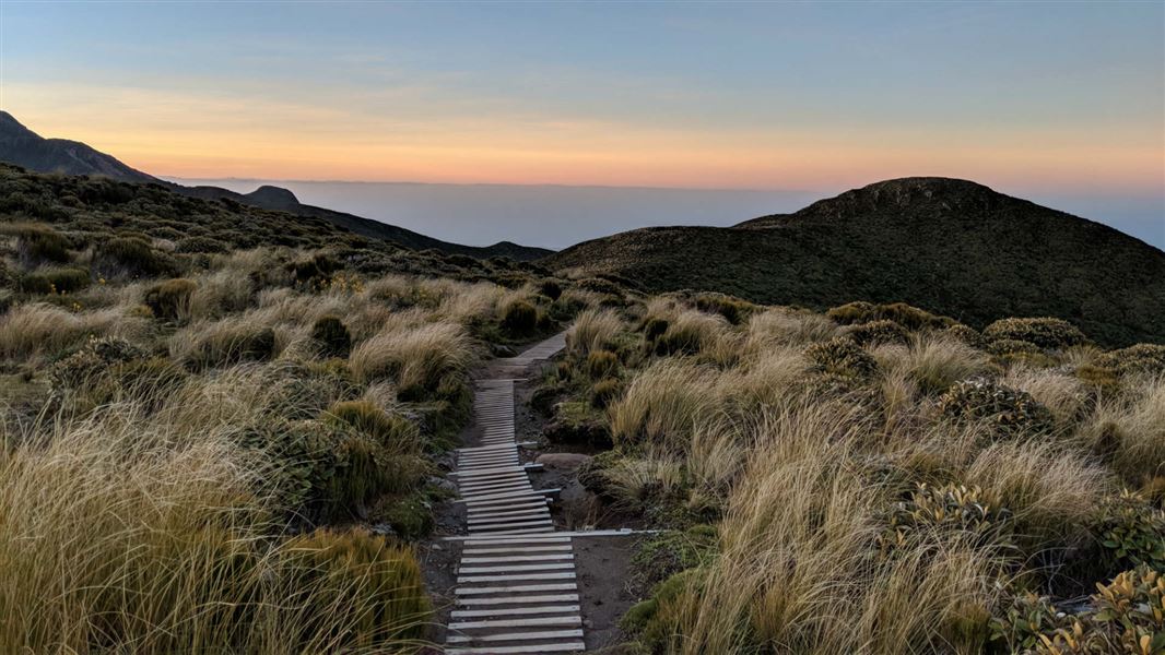 Pouakai range tramping tracks.