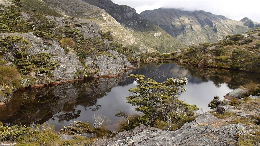 Tarn near Fenella Hut. 