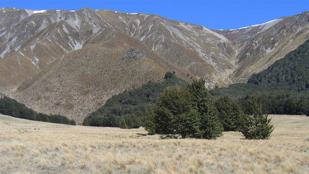 Mountains from Dingle Burn Track. 