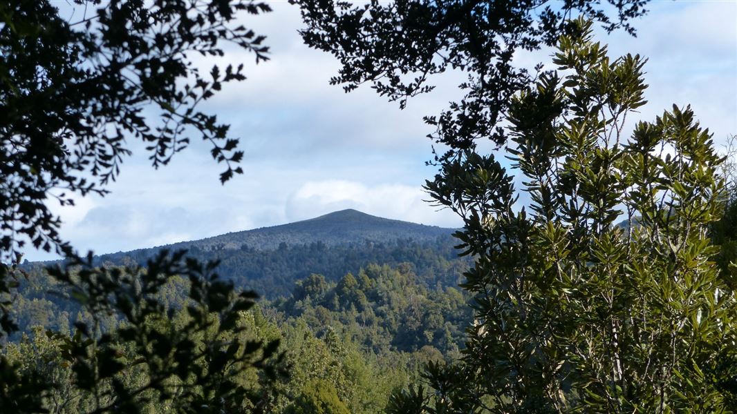 Mount Pureora from the lookout