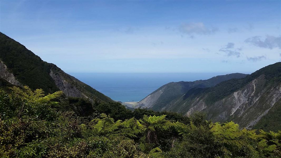 View of ocean from Mt Matthews. 