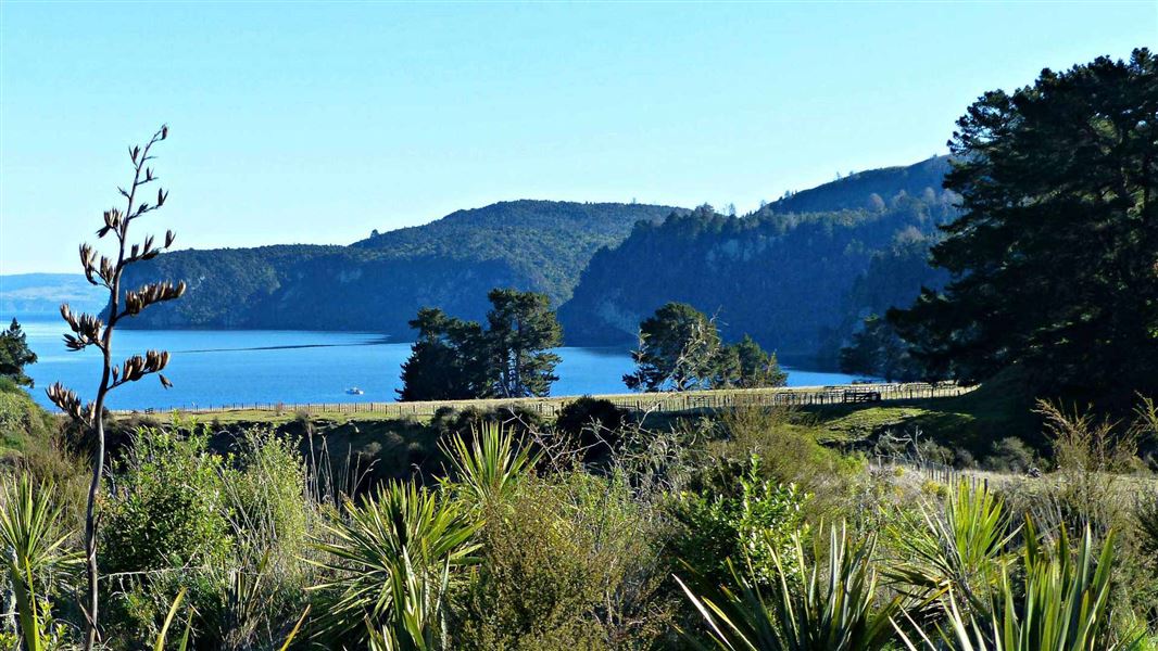 Whakaipō Bay.