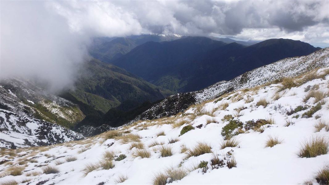 Mount Holdsworth area covered in snow. 