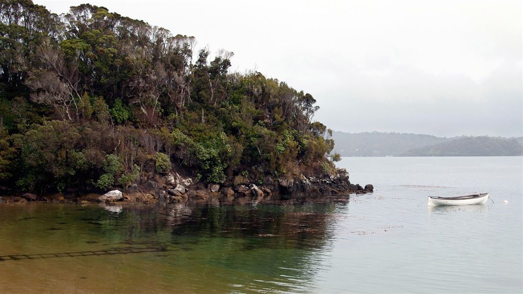 Boat on the water, Ulva Island.