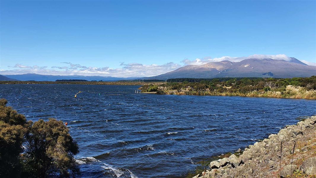 A wind-ruffled lake with mountains in the distance.