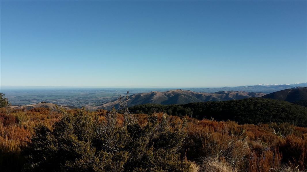 Mt Richardson tracks.