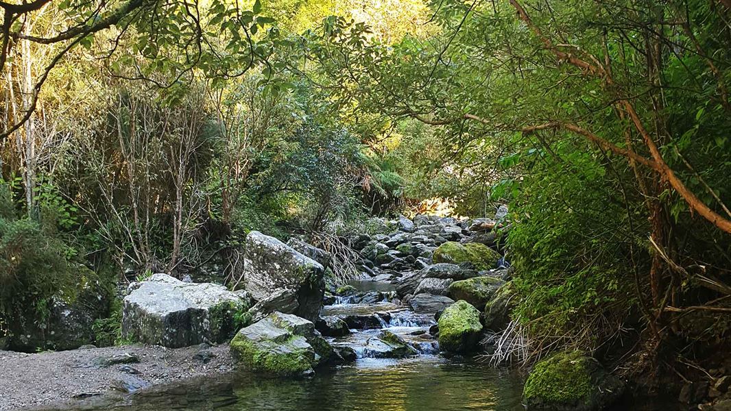 Lee Creek, Woodside Glen Reserve. 