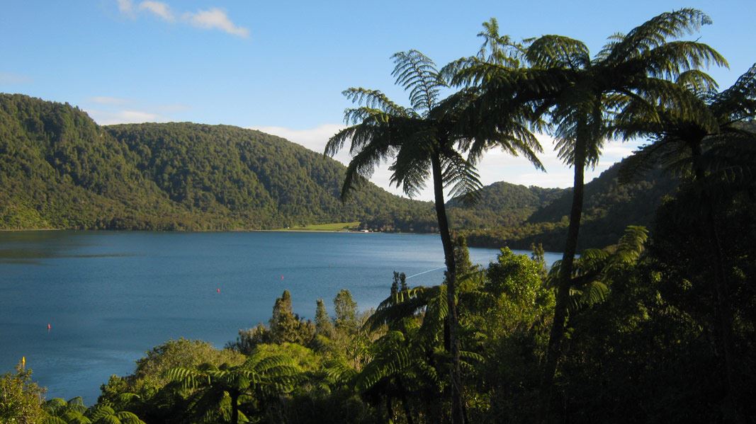 Lake Tikitapu (Blue Lake). 