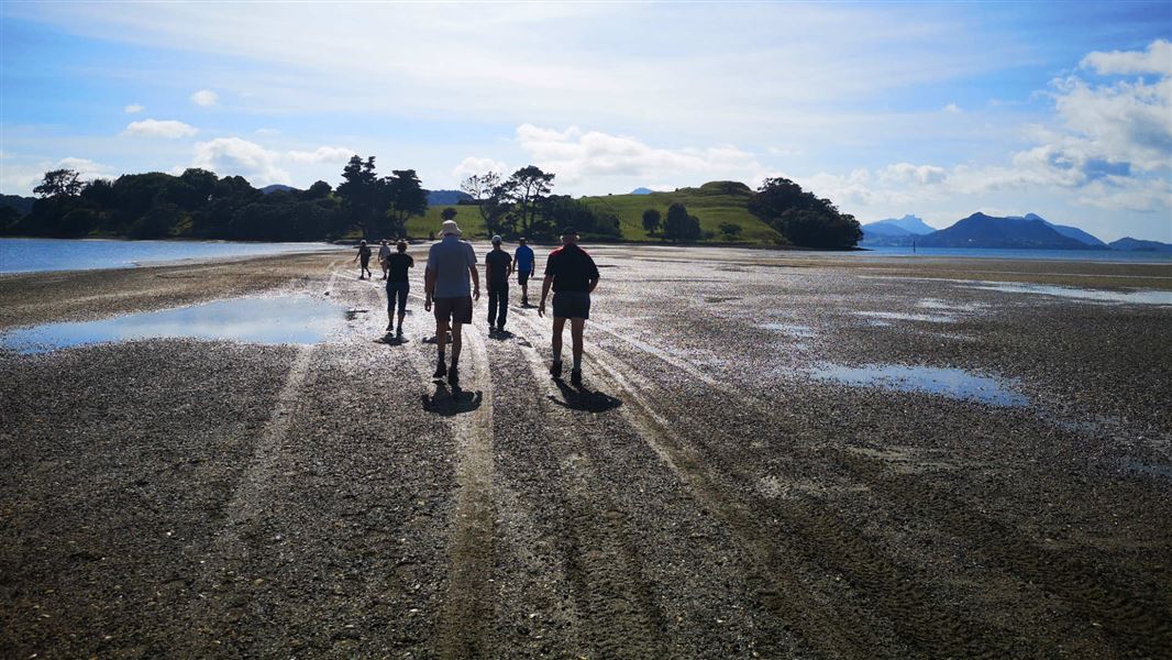 Whangarei volunteers heading to Motukiore Island over the sandbar.