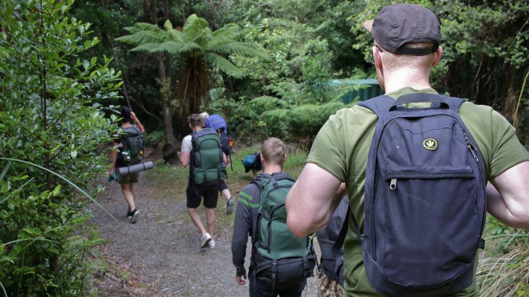 Trampers walking through Rimutaka Forest Park. 