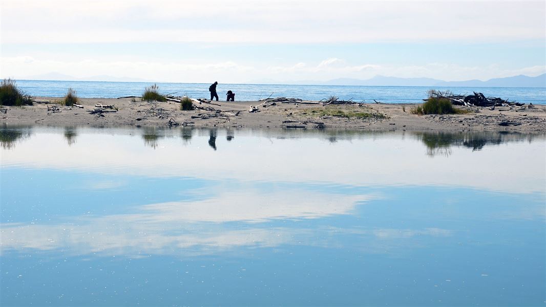 Beach at Motueka. 