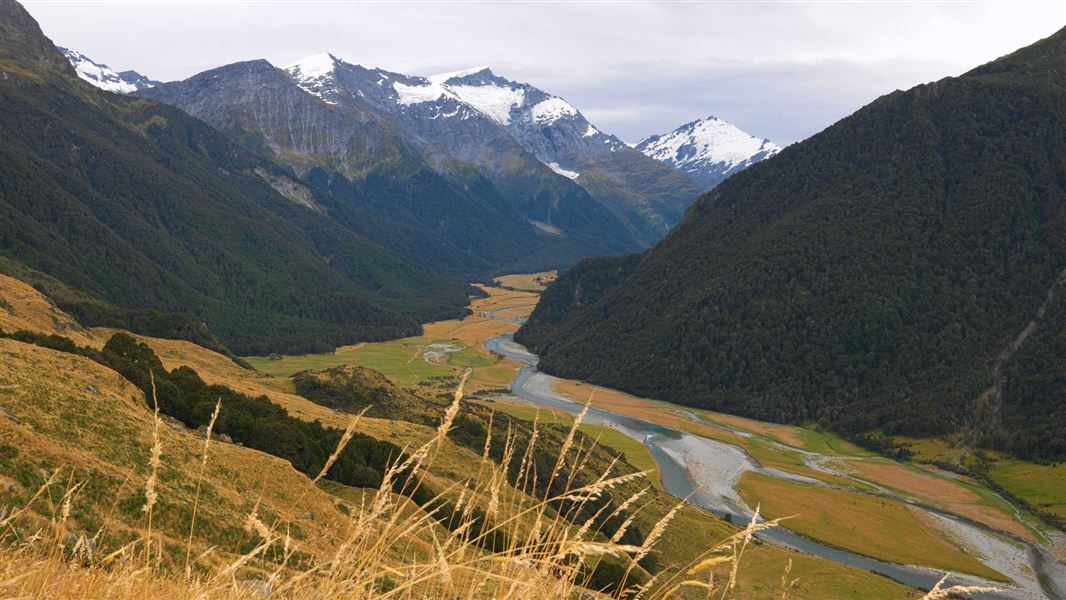 View over the Matukituki Valley.