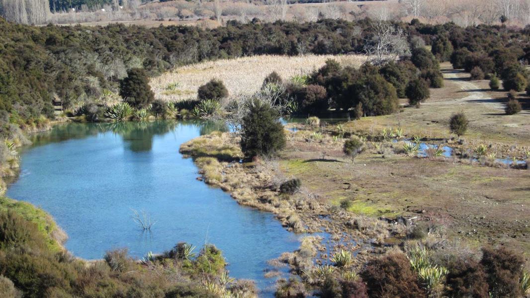 Butterfields Wetland Walk. 