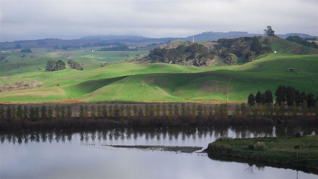 View of Whangamarino. 