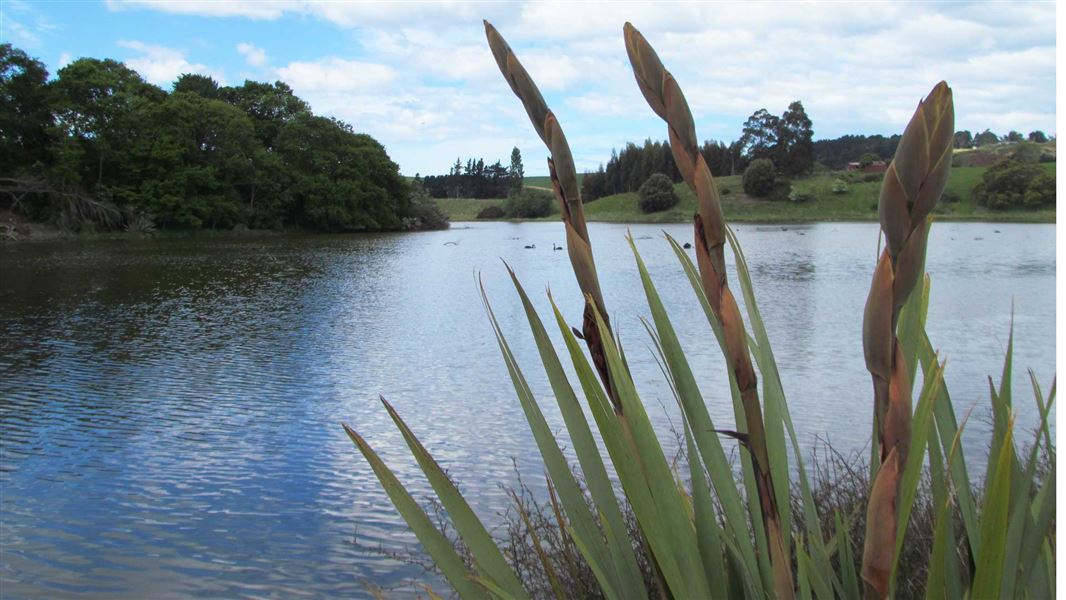 Hawksbury Lagoon