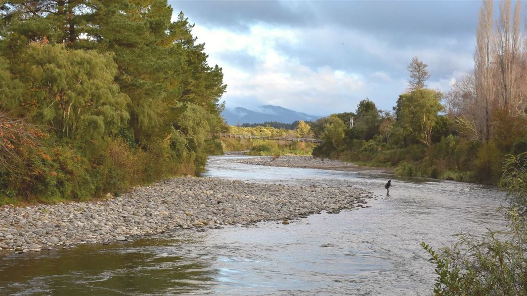 The Tongariro River