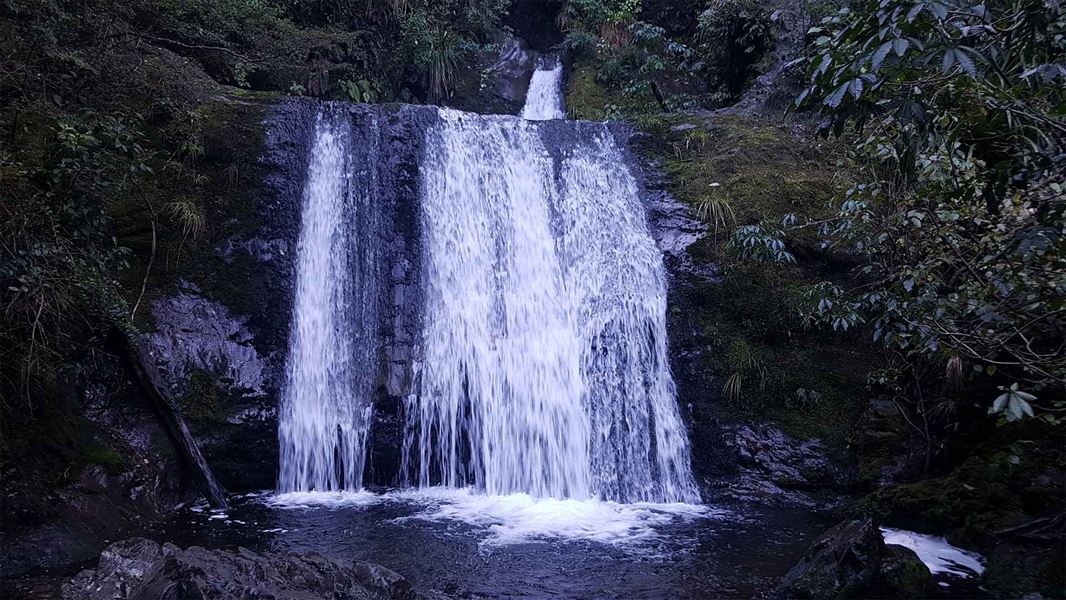 A small waterfall pours into a small lake in a forested area.