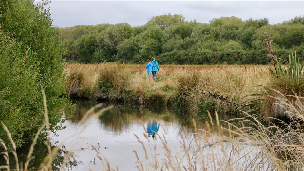 Two people walking in tall grass by a river bank.