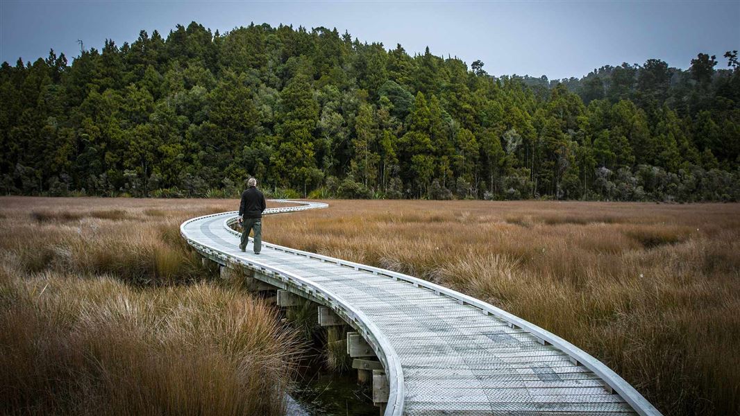 Ōkārito Wetland Walk. 