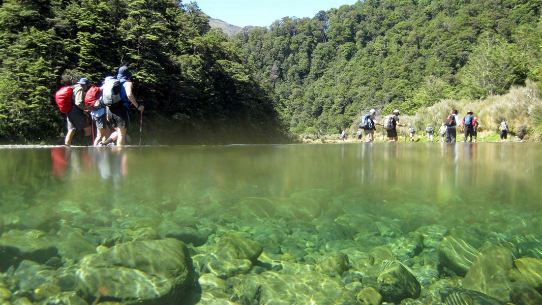 Walking through the Waipakihi River