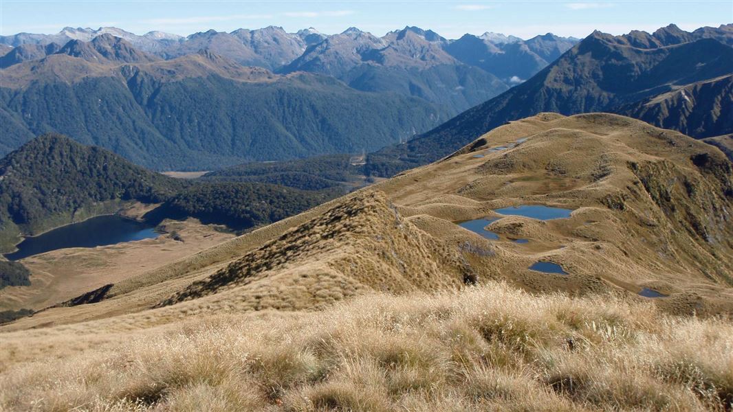 Up in the tops near the Borland Saddle