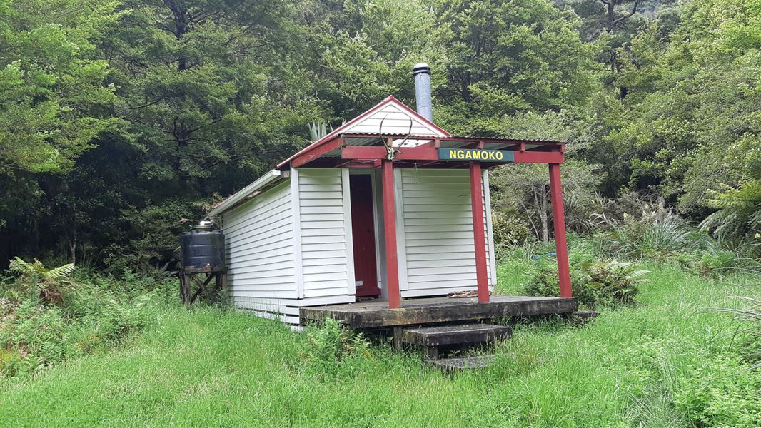 Ngamoko Hut.