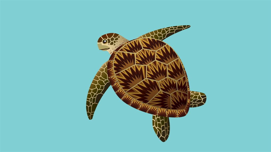 Green turtle/honu graphic