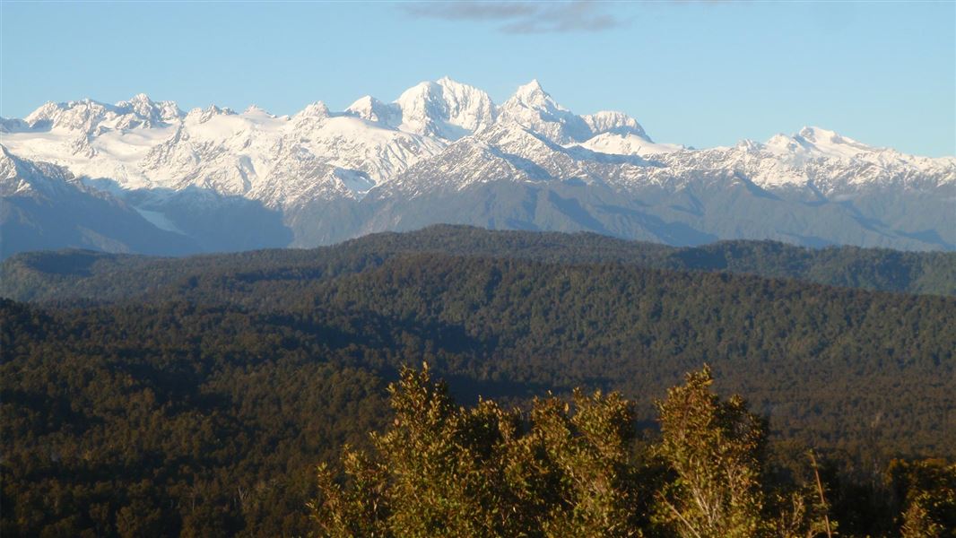 View from Ōkārito trig showing mountain range in the background. 