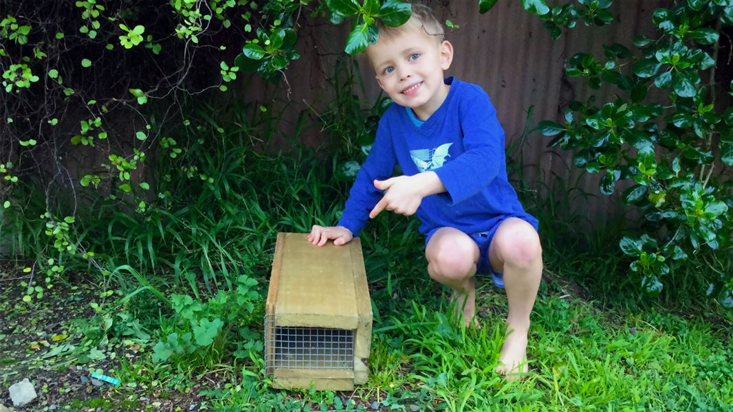 Child with trap box. 