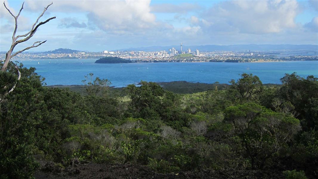 Looking towards Auckland from Rangitoto Island. 